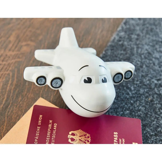 Flugzeug Kuhlesprüche