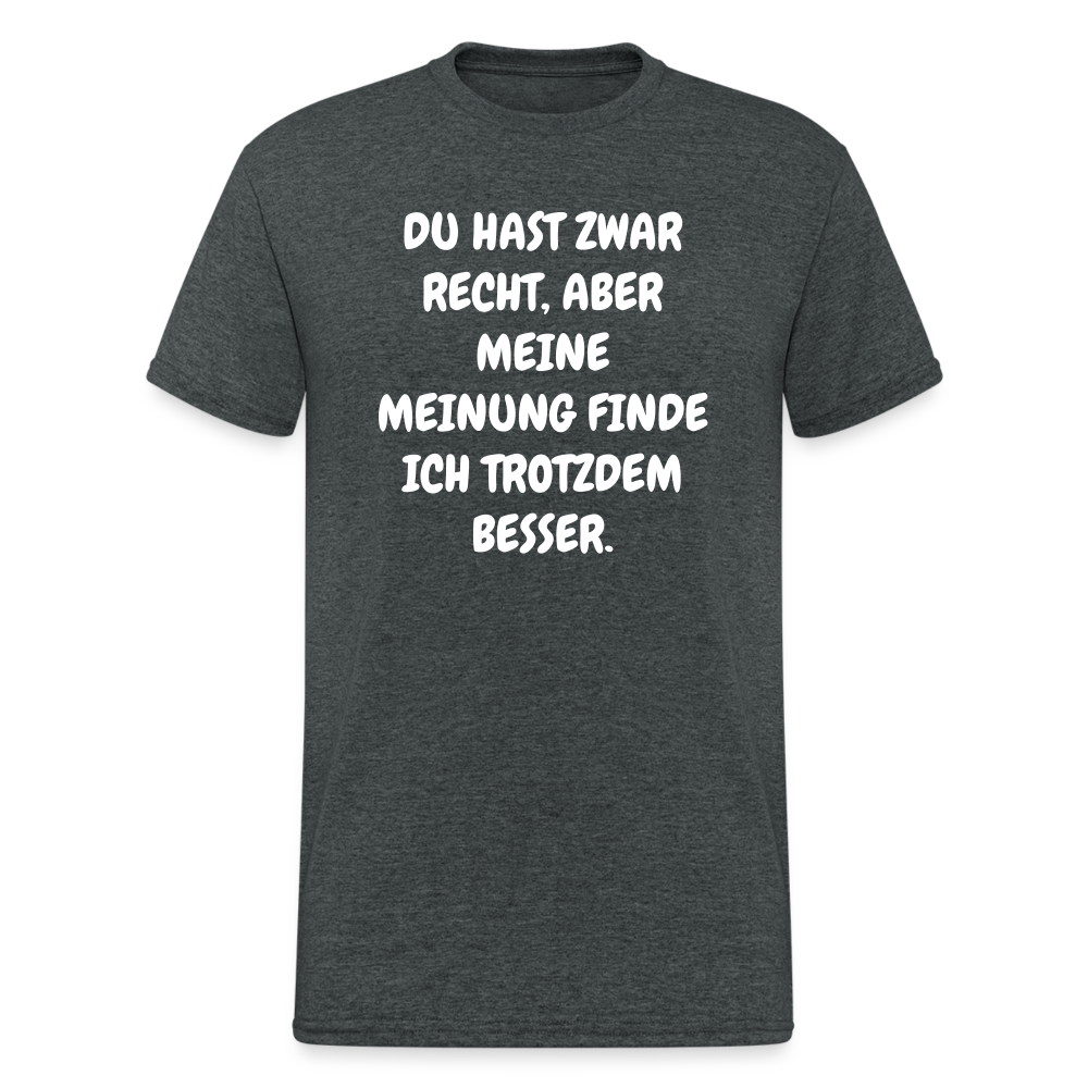 SSW1844 Tshirt DU HAST ZWAR RECHT, ABER MEINE MEINUNG FINDE ICH TROTZDEM BESSER. - Dunkelgrau meliert