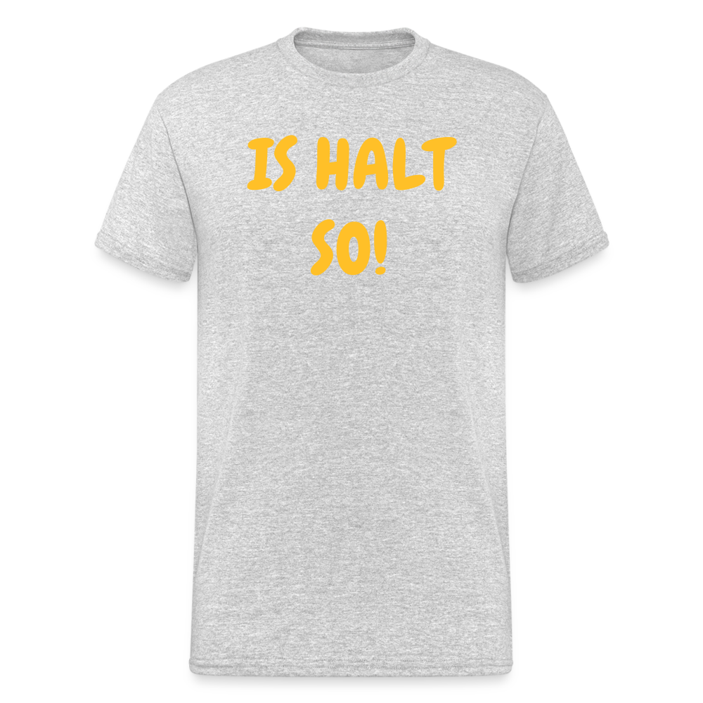 SSW1934 Tshirt IS HALT SO! - Grau meliert