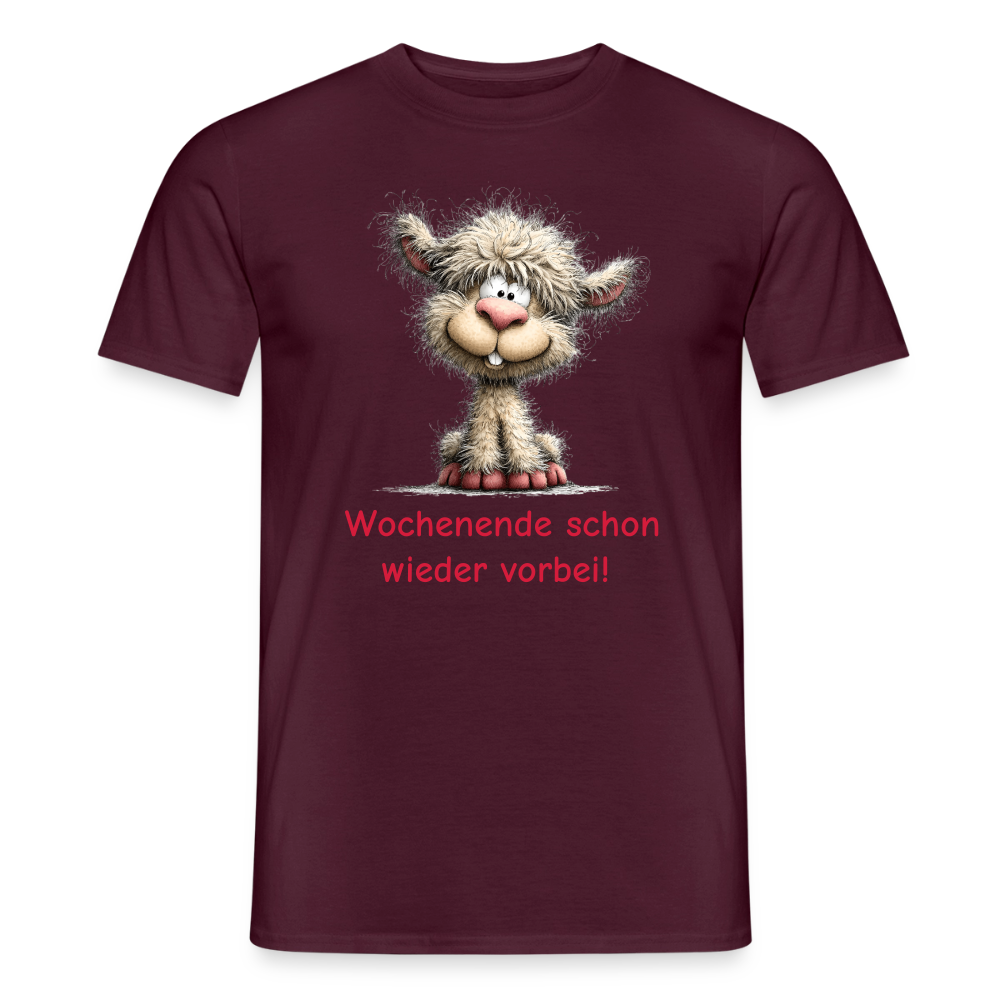 SSW2871Wochenende schon wieder vorbei! - Ziegelrot