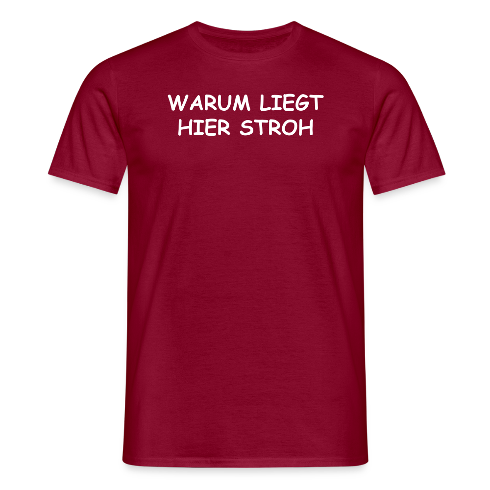 SSW2658WARUM LIEGT HIER STROH - Ziegelrot