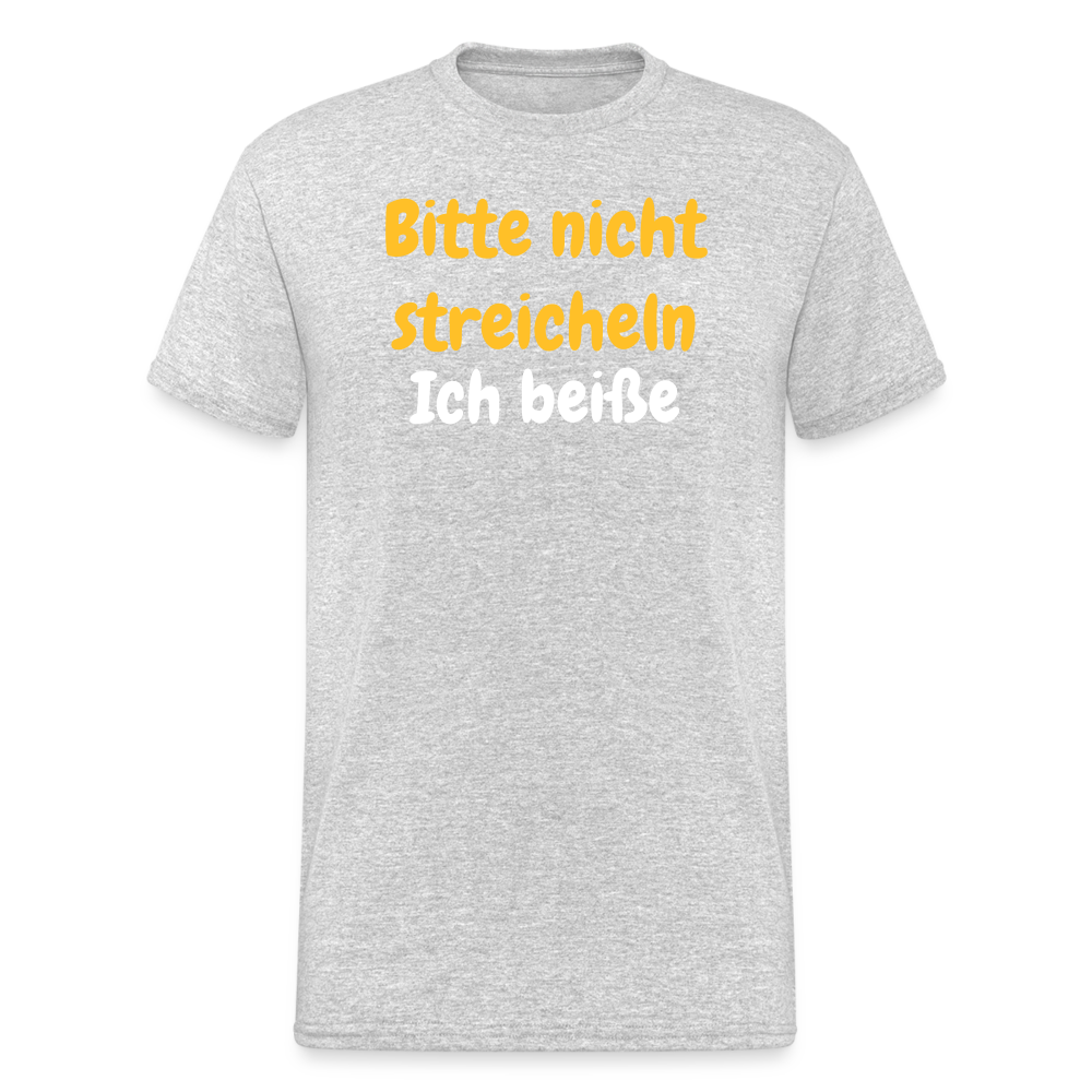 SSW1909 Tshirt Bitte nicht streicheln - Grau meliert